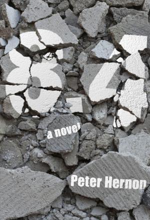 Cover of the book 8.4 by Pete May