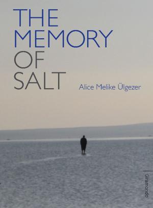 Cover of the book The Memory of Salt by Michael Mohammed  Ahmad