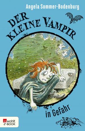 Cover of the book Der kleine Vampir in Gefahr by Péter Nádas