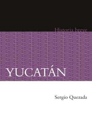 Cover of the book Yucatán by Julieta Campos