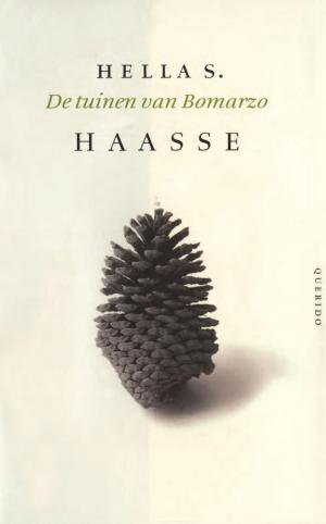 Cover of the book De tuinen van Bomarzo by Anna Enquist