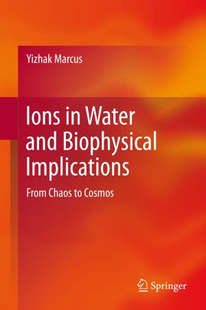 Cover of the book Ions in Water and Biophysical Implications by Elisabeth Feist Hirsch