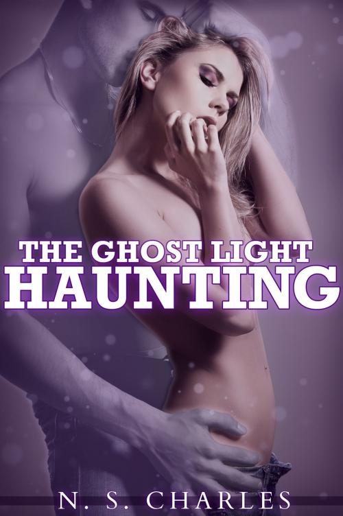Cover of the book The Ghost Light Haunting by NS Charles, N. S. Charles