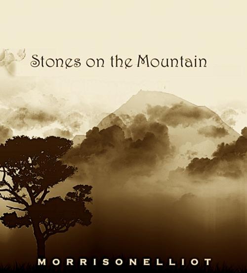 Cover of the book Stones on the Mountain by Morrison Elliot, Morell House