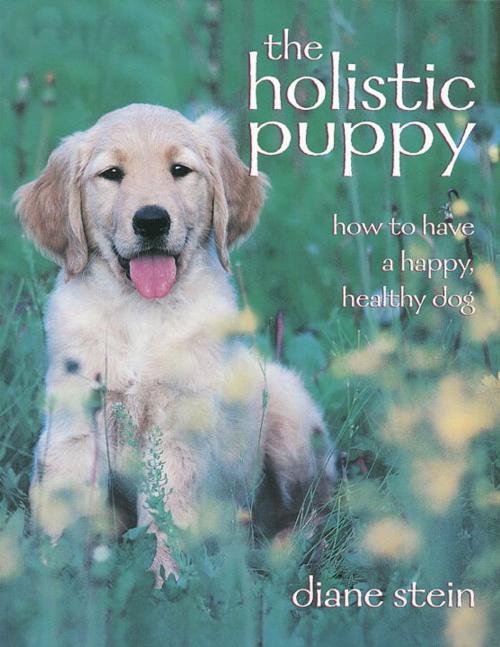 Cover of the book The Holistic Puppy by Diane Stein, Potter/Ten Speed/Harmony/Rodale