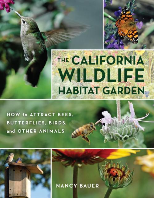 Cover of the book The California Wildlife Habitat Garden by Nancy Bauer, University of California Press