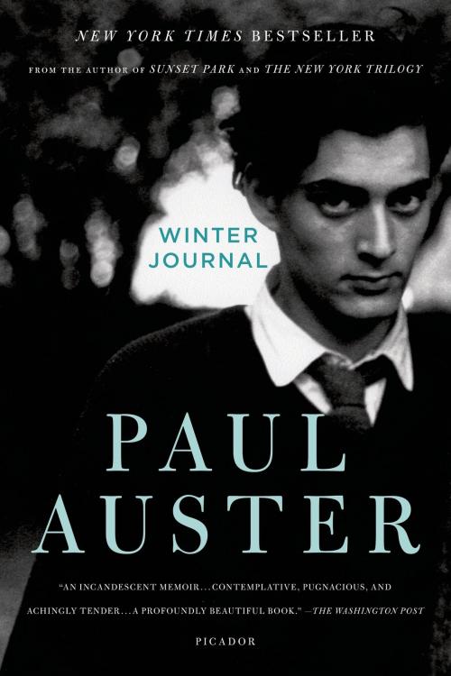 Cover of the book Winter Journal by Paul Auster, Henry Holt and Co.
