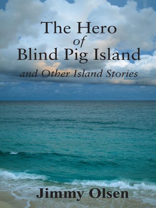 Cover of the book The Hero of Blind Pig Island and Other Island Stories by Jimmy Olsen, Hoffman House Press