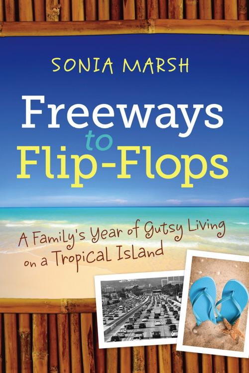 Cover of the book Freeways to Flip-Flops by Sonia Marsh, Gutsy Publications