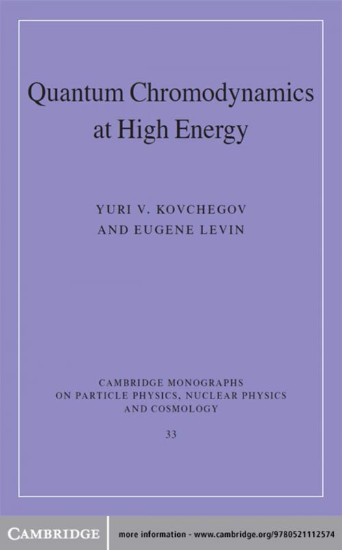 Cover of the book Quantum Chromodynamics at High Energy by Yuri V. Kovchegov, Eugene Levin, Cambridge University Press