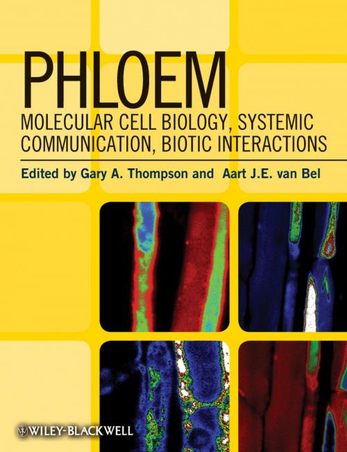 Cover of the book Phloem by Gary A. Thompson, Aart J.E. van Bel, Wiley