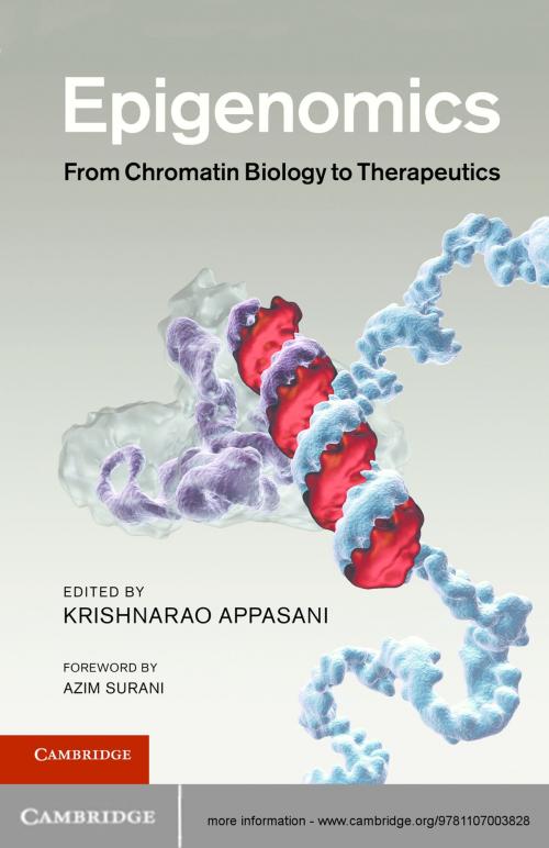 Cover of the book Epigenomics by , Cambridge University Press