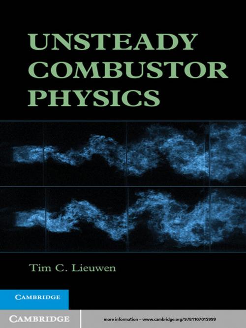 Cover of the book Unsteady Combustor Physics by Tim C. Lieuwen, Cambridge University Press