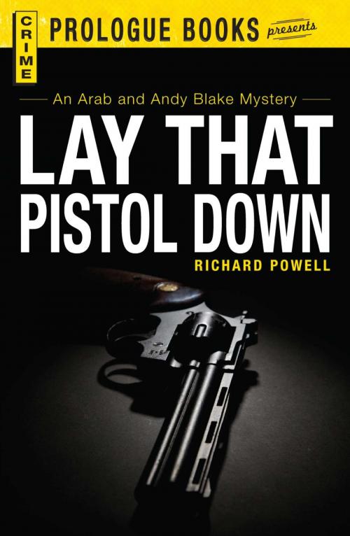 Cover of the book Lay that Pistol Down by Richard Powell, Adams Media