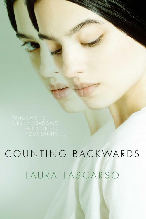 Cover of the book Counting Backwards by Laura Lascarso, Atheneum Books for Young Readers