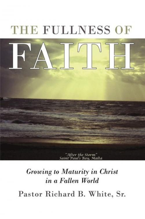 Cover of the book The Fullness of Faith by Pastor Richard B. White Sr., WestBow Press