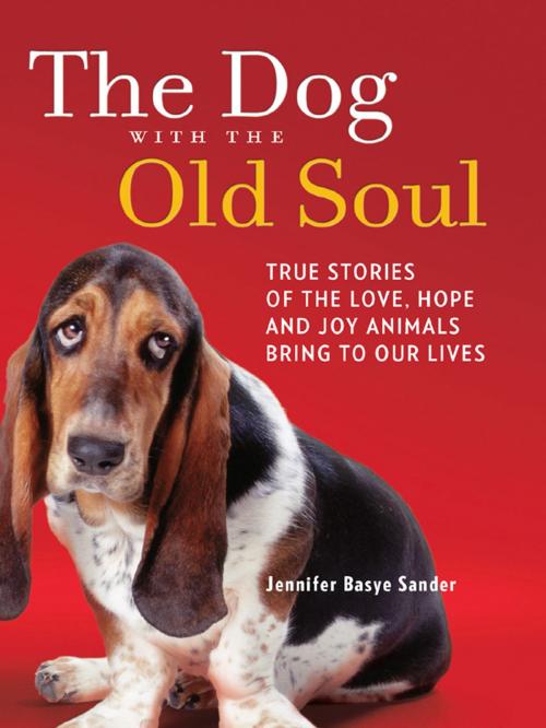 Cover of the book The Dog with the Old Soul by Jennifer Basye Sander, Harlequin