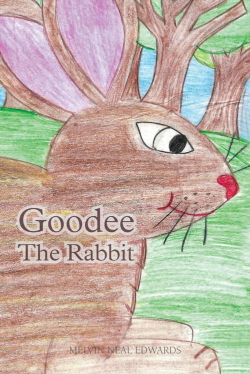 Cover of the book Goodee the Rabbit by MELVIN NEAL EDWARDS, Trafford Publishing