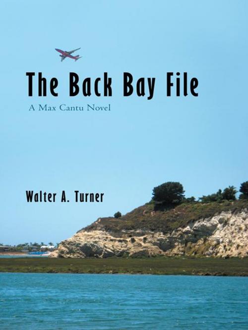 Cover of the book The Back Bay File by Walter A. Turner, iUniverse