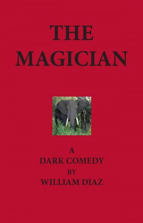 Cover of the book The Magician by William Diaz, William Diaz
