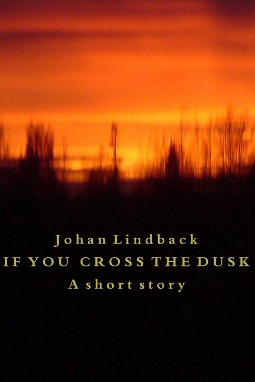Cover of the book If you cross the dusk by Johan Lindback, Johan Lindback
