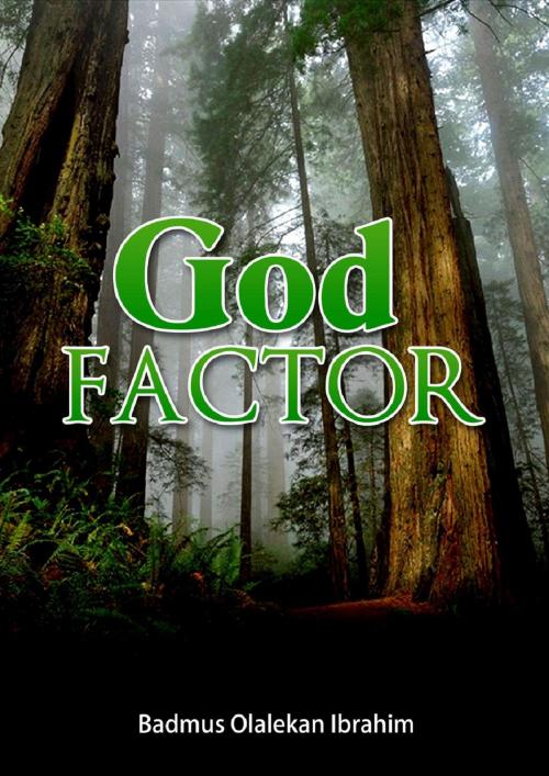 Cover of the book THE GOD FACTOR by Badmus Ibrahim Olalekan, Badmus Ibrahim Olalekan