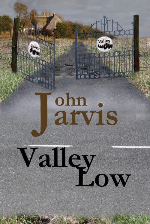 Cover of the book Valley Low by John Jarvis, John Jarvis