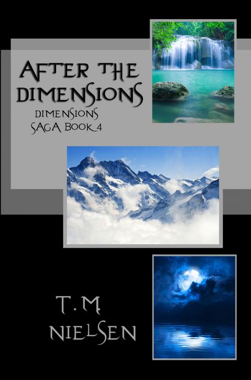 Cover of the book After the Dimensions by T.M. Nielsen, T.M. Nielsen