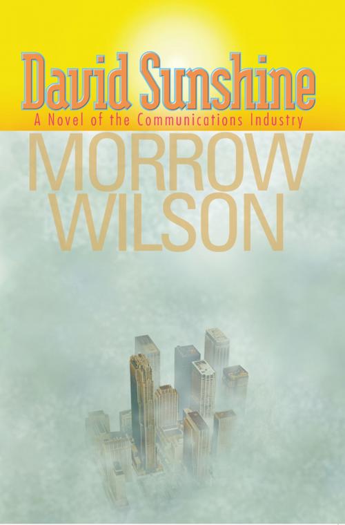 Cover of the book David Sunshine by Morrow Wilson, AuthorHouse