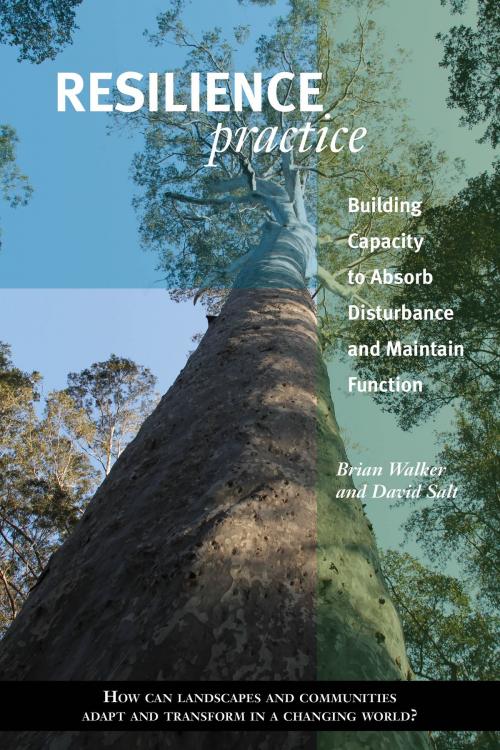 Cover of the book Resilience Practice by Brian Walker, David Salt, Island Press