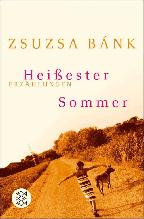 Cover of the book Heißester Sommer by Zsuzsa Bánk, FISCHER E-Books