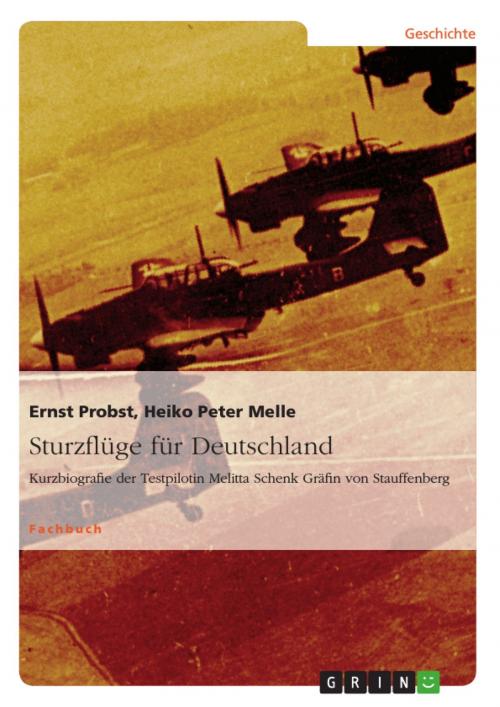 Cover of the book Sturzflüge für Deutschland by Ernst Probst, Heiko Peter Melle, GRIN Verlag