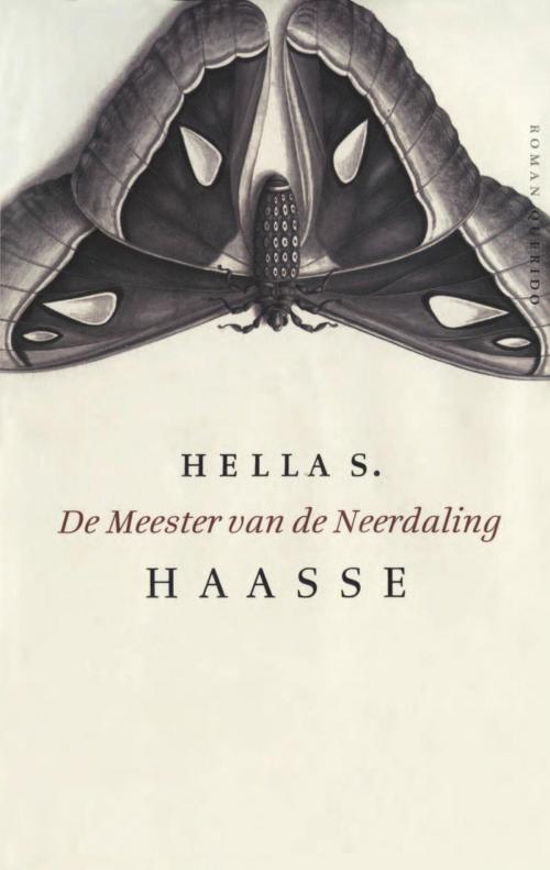 Cover of the book De meester van de neerdaling by Hella S. Haasse, Singel Uitgeverijen