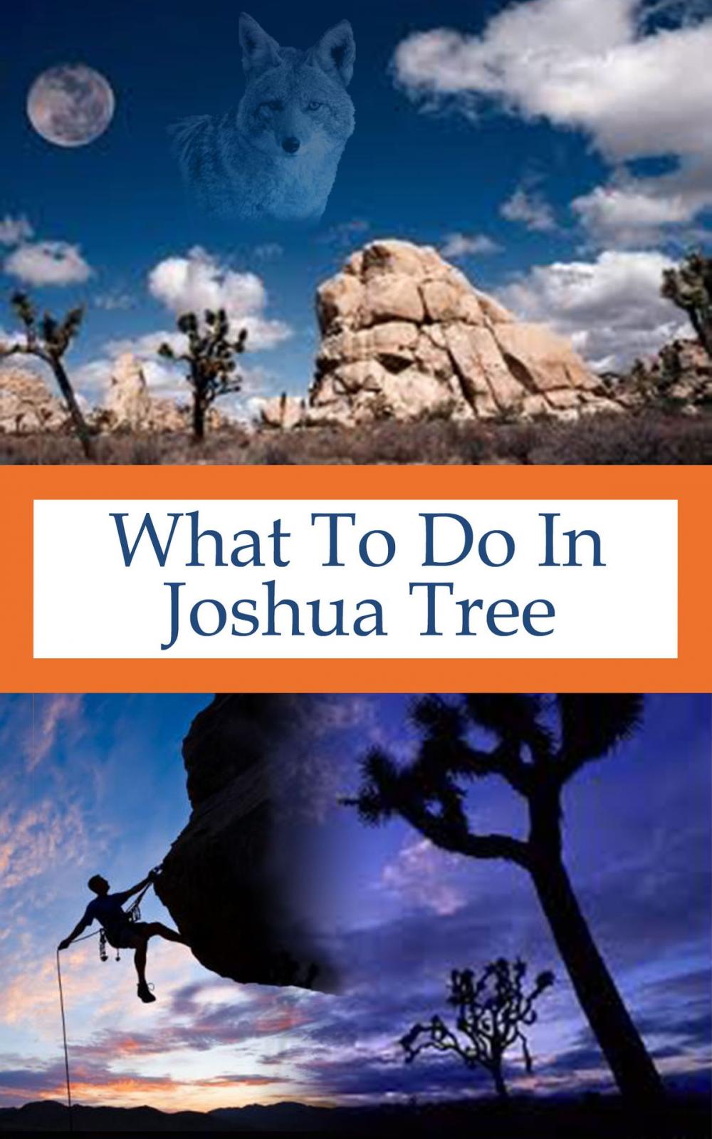 Big bigCover of What To Do In Joshua Tree