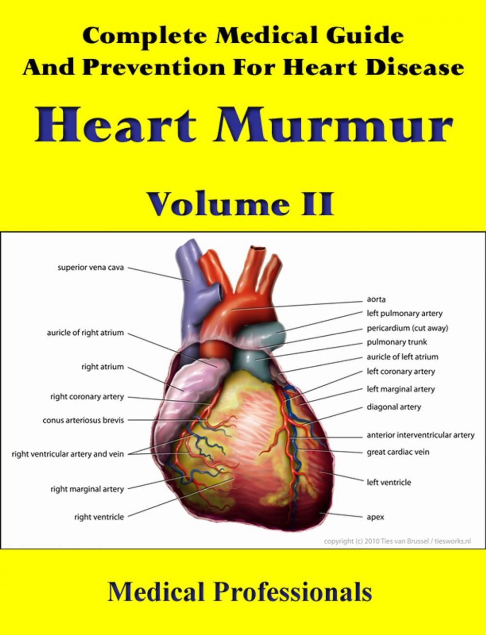 Big bigCover of Complete Medical Guide and Prevention for Heart Diseases Volume II; Heart Murmur