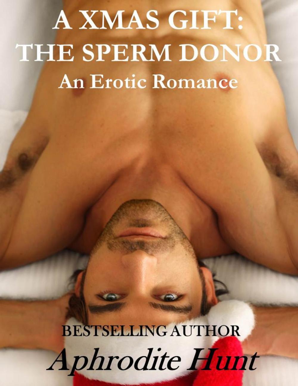 Big bigCover of A Xmas Gift: The Sperm Donor