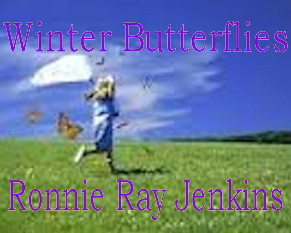 Big bigCover of Winter Butterflies