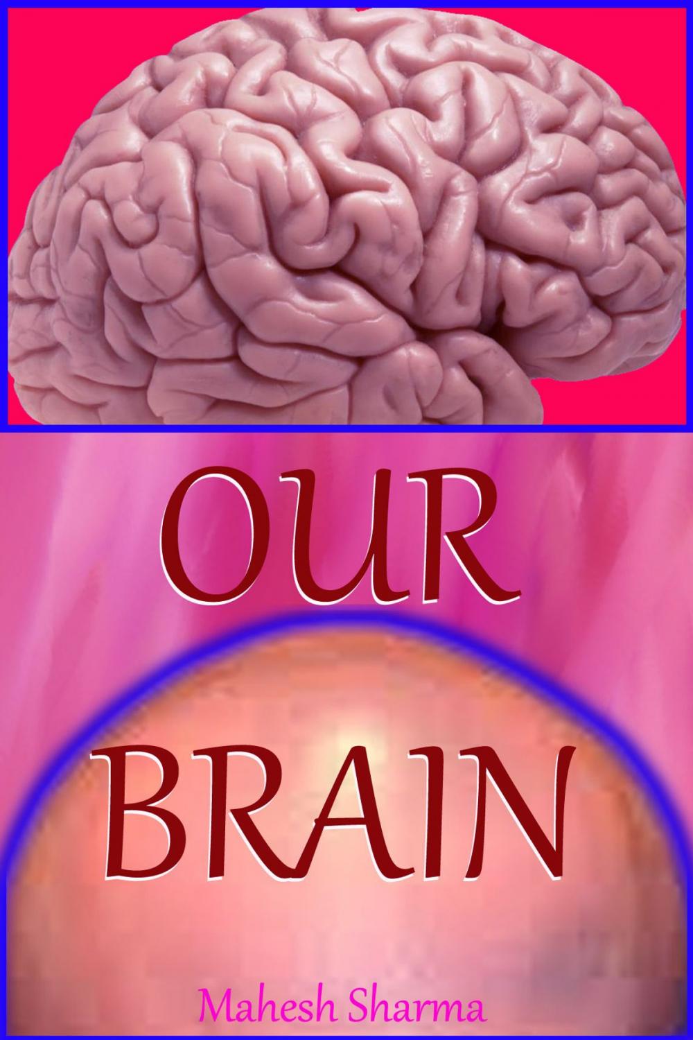 Big bigCover of Our Brain