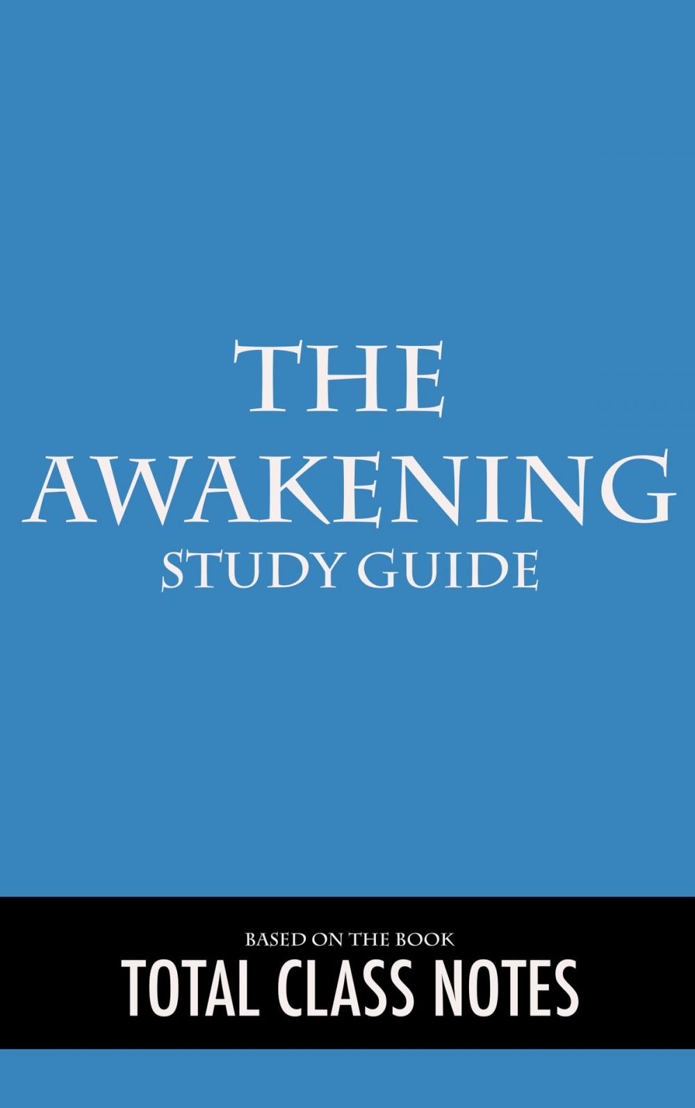 Big bigCover of The Awakening: Study Guide