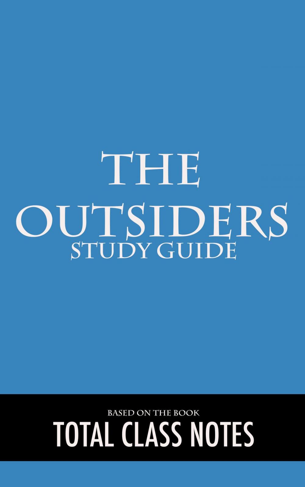 Big bigCover of The Outsiders: Study Guide