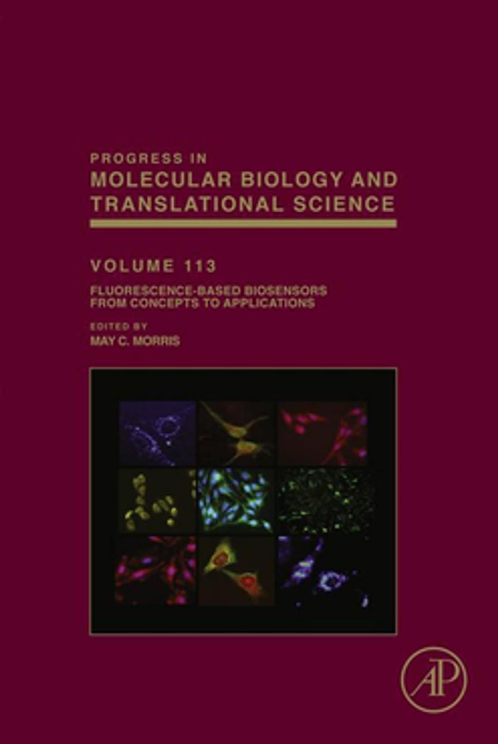 Big bigCover of Fluorescence-Based Biosensors