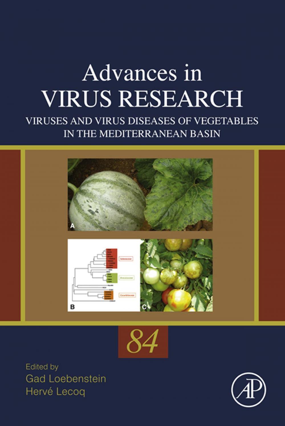 Big bigCover of Viruses and Virus Diseases of Vegetables in the Mediterranean Basin