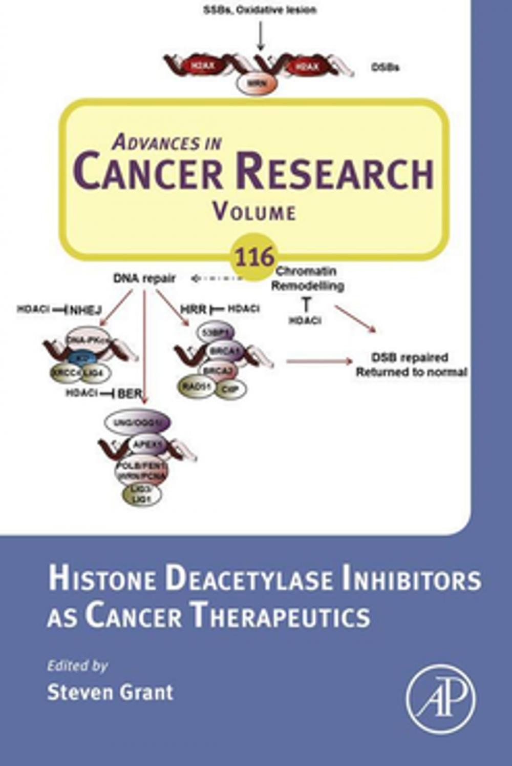 Big bigCover of Histone Deacetylase Inhibitors as Cancer Therapeutics