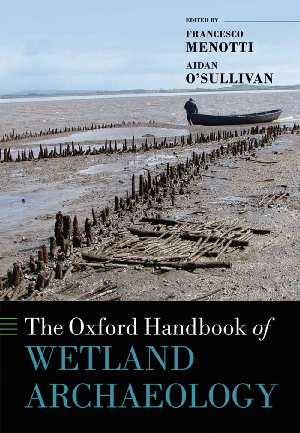 Big bigCover of The Oxford Handbook of Wetland Archaeology