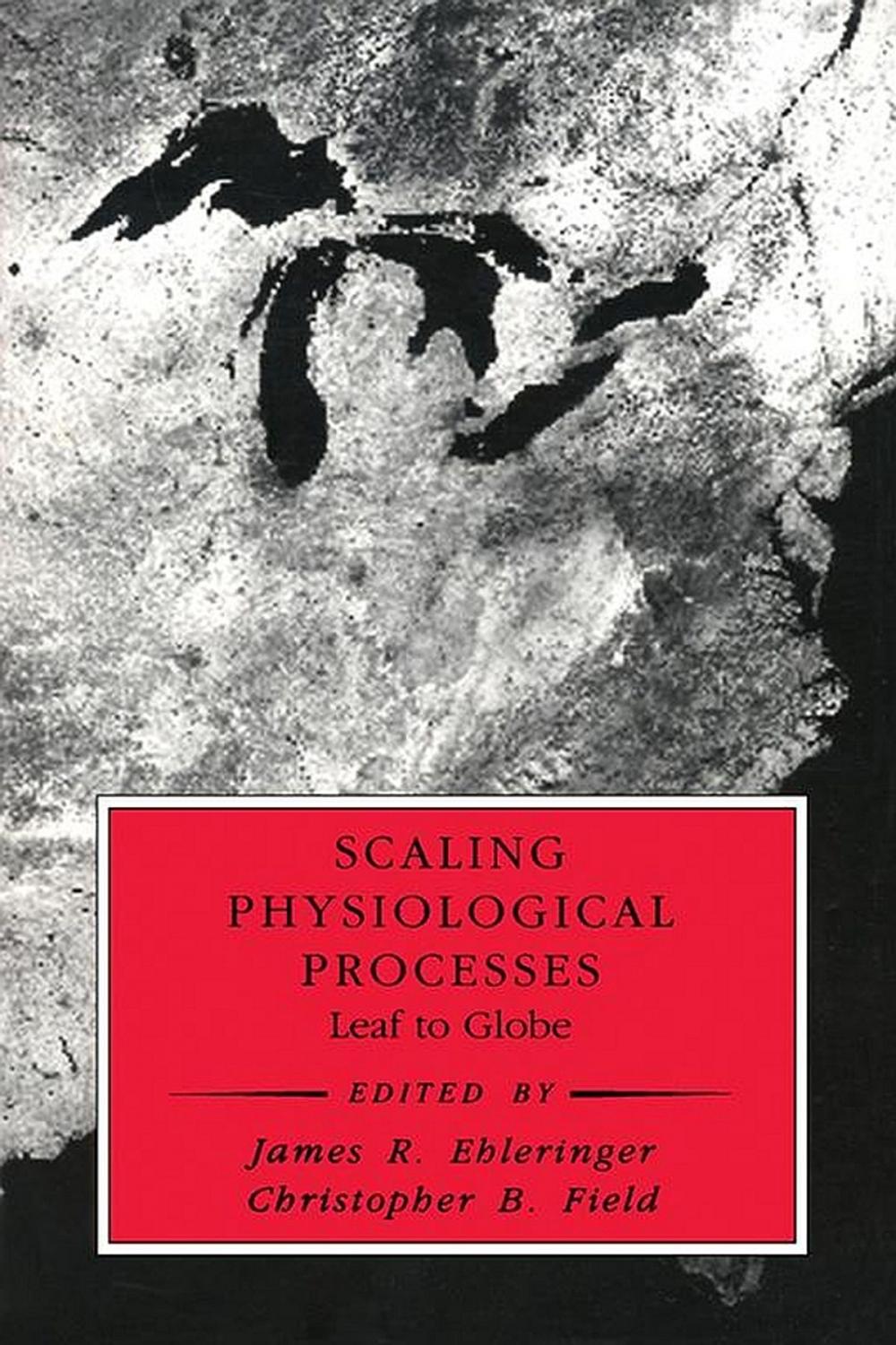 Big bigCover of Scaling Physiological Processes