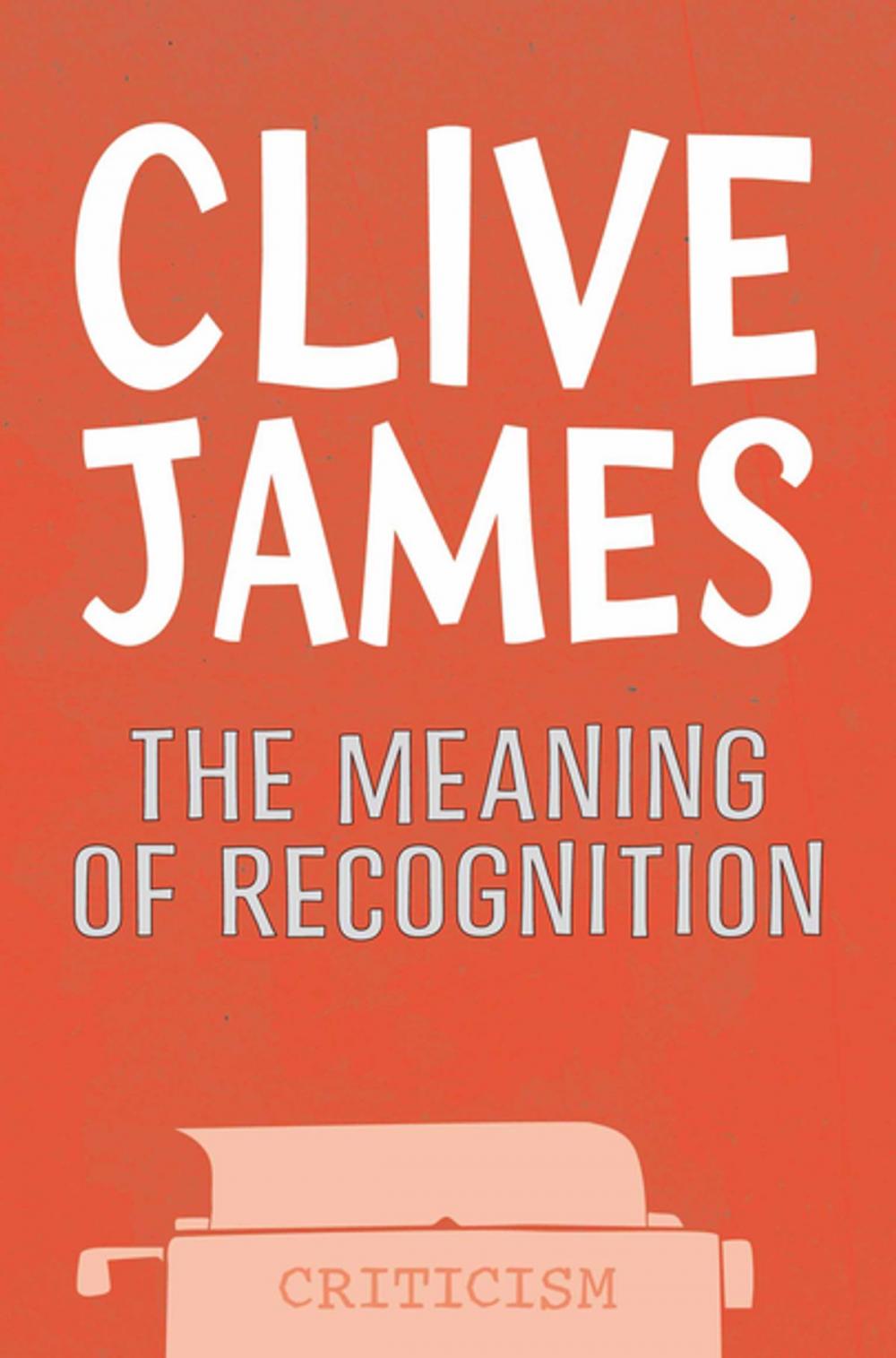 Big bigCover of The Meaning of Recognition