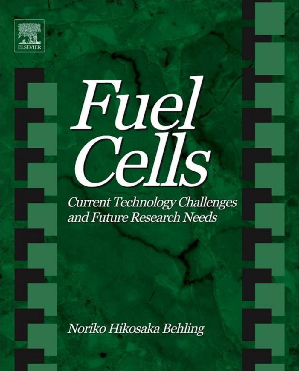 Big bigCover of Fuel Cells