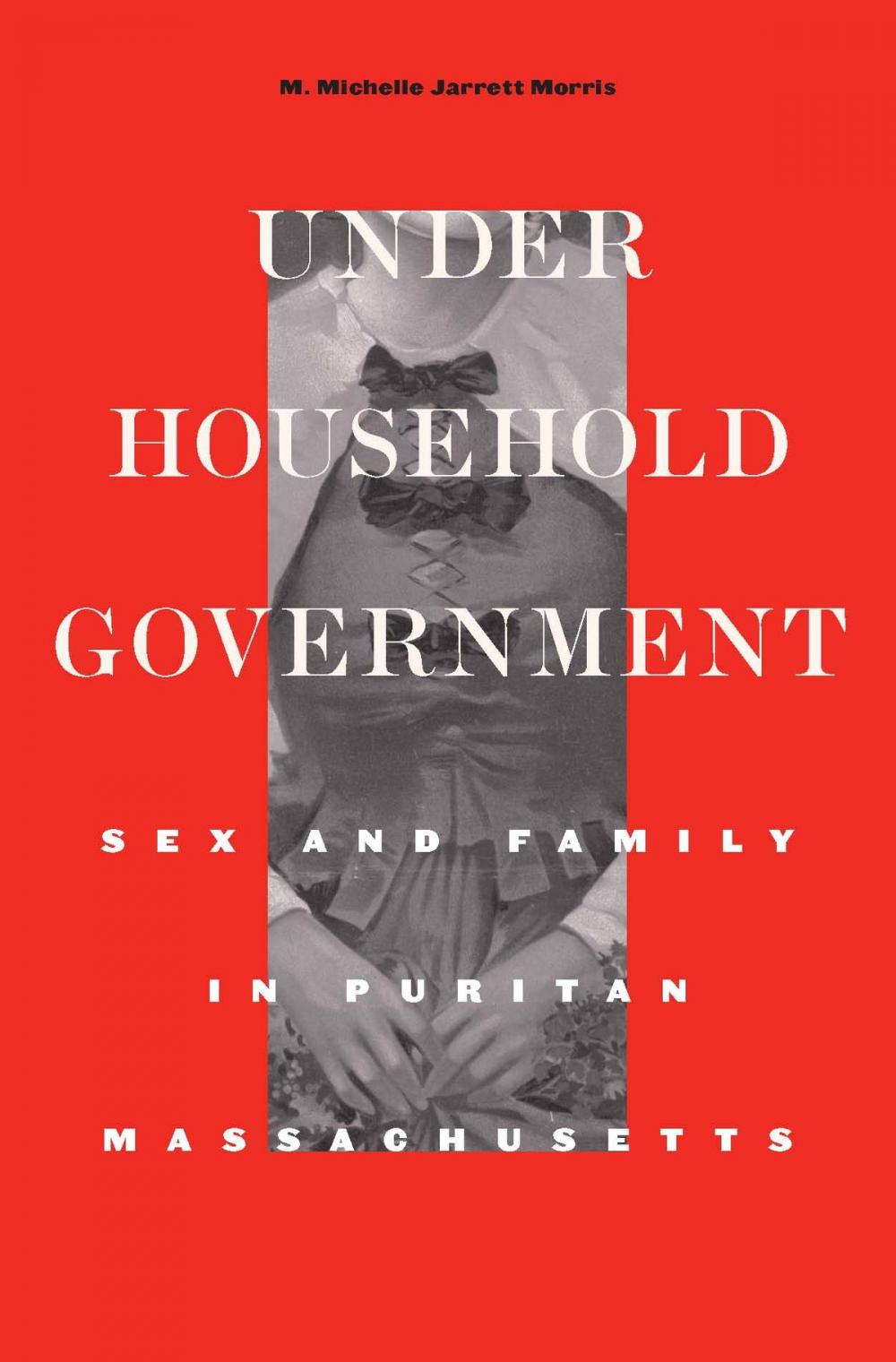 Big bigCover of Under Household Government