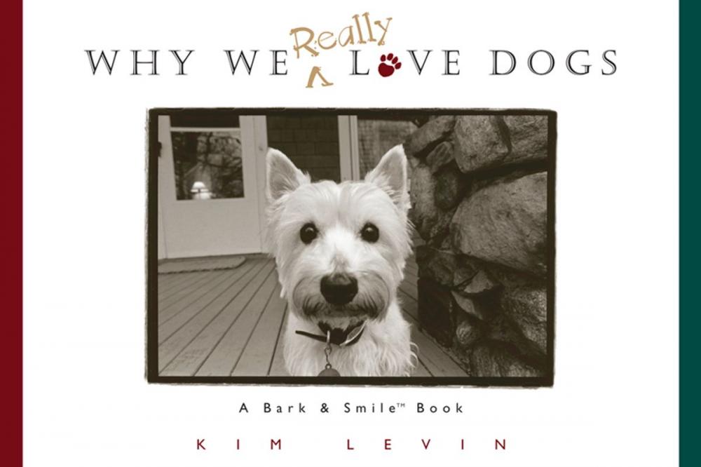 Big bigCover of Why We Really Love Dogs