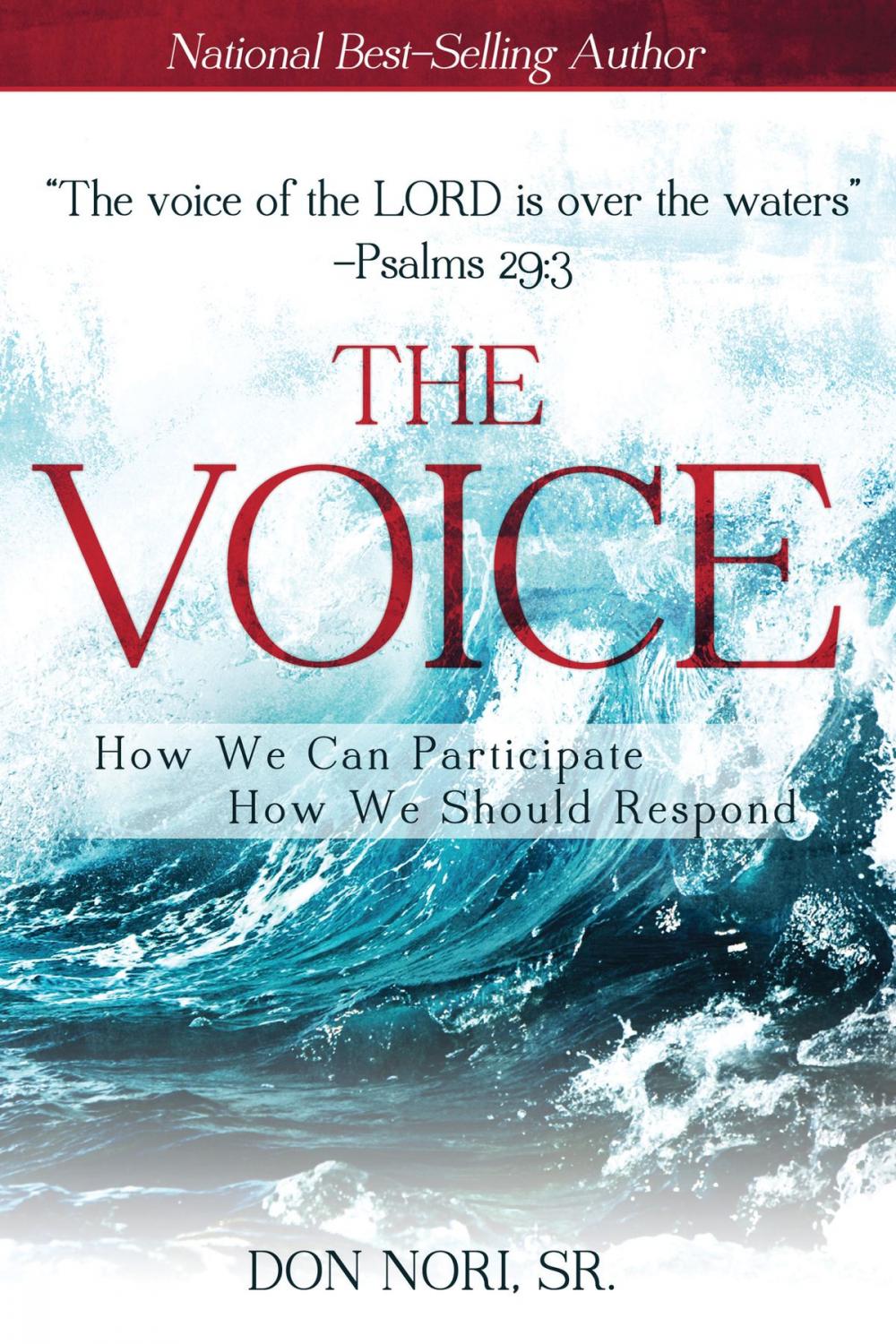 Big bigCover of The Voice: How We Can Participate, How We Should Respond
